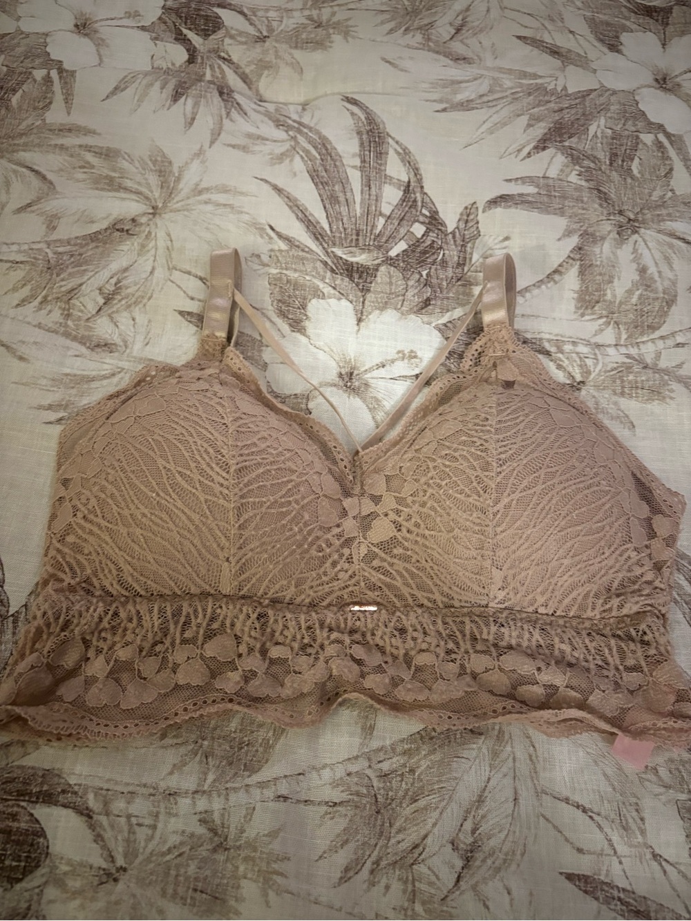 Jadyk Wireless Lace Bralette in Taupe Nude